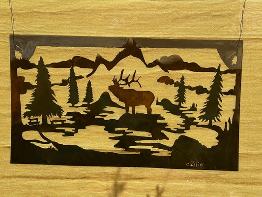 Northwest Wilderness Elk